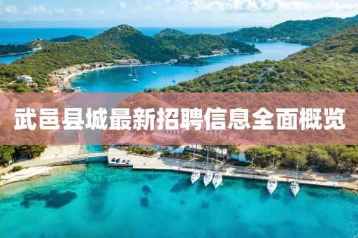 武邑縣城最新招聘信息全面概覽