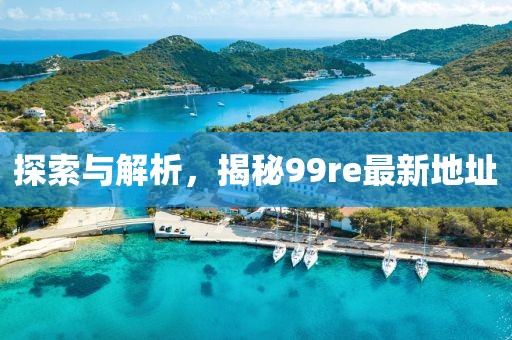 探索與解析，揭秘99re最新地址
