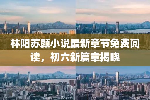 林陽蘇顏小說最新章節(jié)免費(fèi)閱讀，初六新篇章揭曉