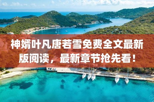 神婿葉凡唐若雪免費(fèi)全文最新版閱讀，最新章節(jié)搶先看！