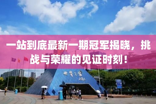 一站到底最新一期冠軍揭曉，挑戰(zhàn)與榮耀的見證時刻！