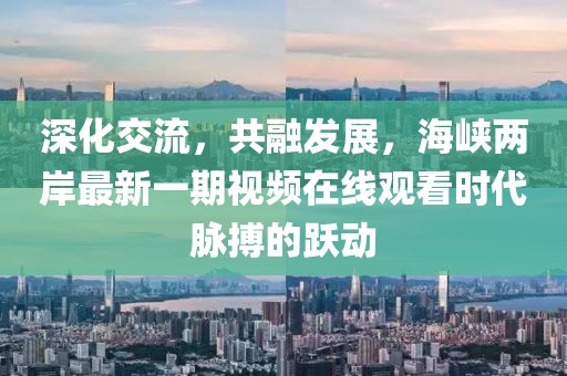 深化交流，共融發(fā)展，海峽兩岸最新一期視頻在線觀看時(shí)代脈搏的躍動(dòng)