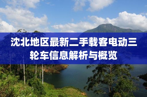 沈北地區(qū)最新二手載客電動三輪車信息解析與概覽