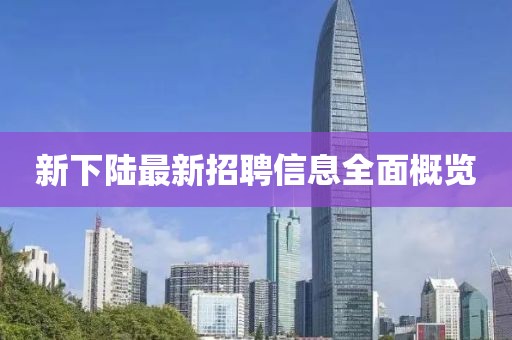 新下陸最新招聘信息全面概覽