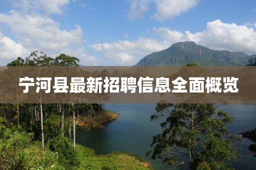 寧河縣最新招聘信息全面概覽