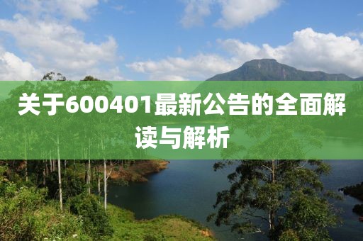關于600401最新公告的全面解讀與解析