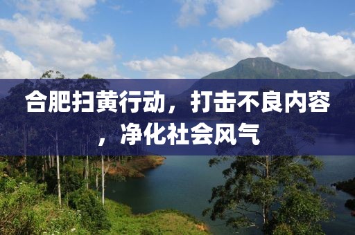 合肥掃黃行動(dòng)，打擊不良內(nèi)容，凈化社會(huì)風(fēng)氣