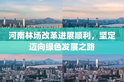 河南林場改革進展順利，堅定邁向綠色發(fā)展之路