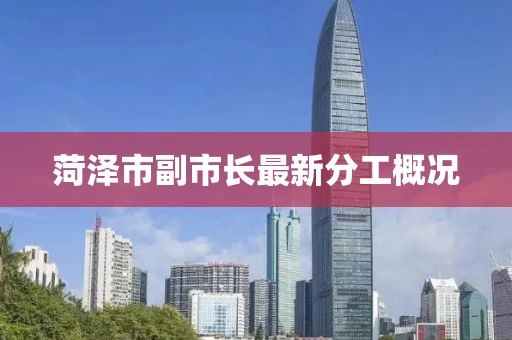 菏澤市副市長最新分工概況
