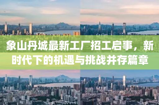 象山丹城最新工廠招工啟事，新時代下的機遇與挑戰(zhàn)并存篇章