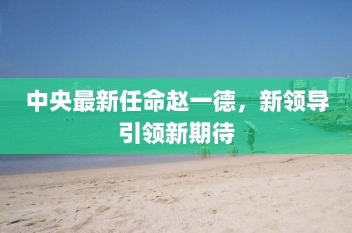 中央最新任命趙一德，新領(lǐng)導(dǎo)引領(lǐng)新期待
