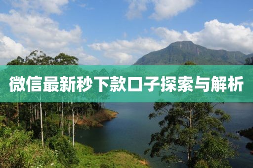 微信最新秒下款口子探索與解析