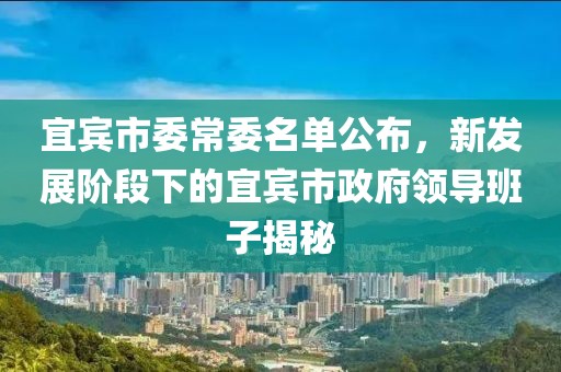 宜賓市委常委名單公布，新發(fā)展階段下的宜賓市政府領(lǐng)導(dǎo)班子揭秘