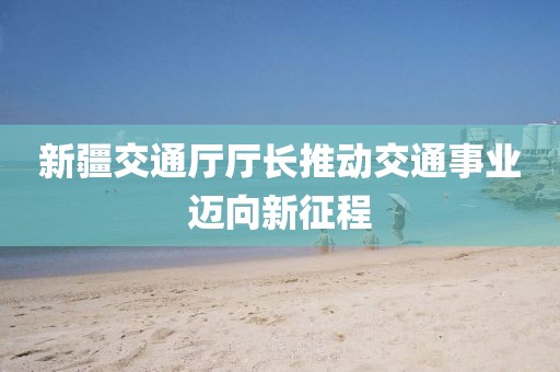 新疆交通廳廳長推動交通事業(yè)邁向新征程