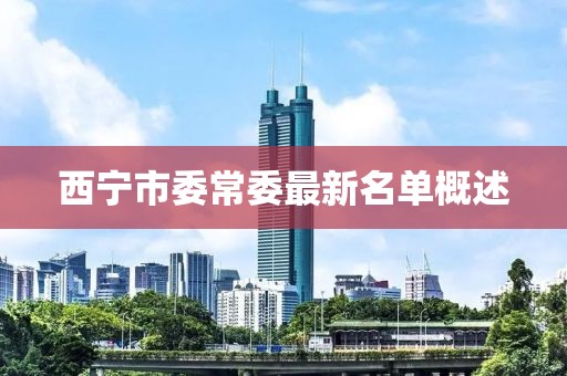 西寧市委常委最新名單概述