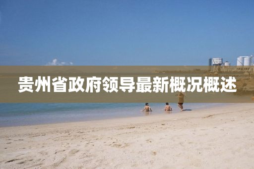 貴州省政府領(lǐng)導(dǎo)最新概況概述