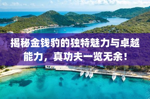 揭秘金錢豹的獨特魅力與卓越能力，真功夫一覽無余！
