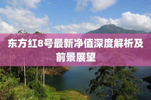 東方紅8號最新凈值深度解析及前景展望