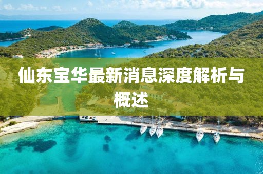 仙東寶華最新消息深度解析與概述