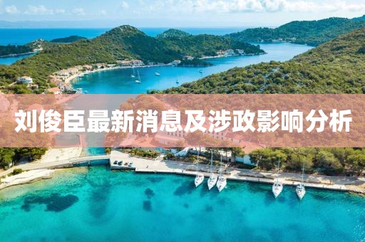 劉俊臣最新消息及涉政影響分析