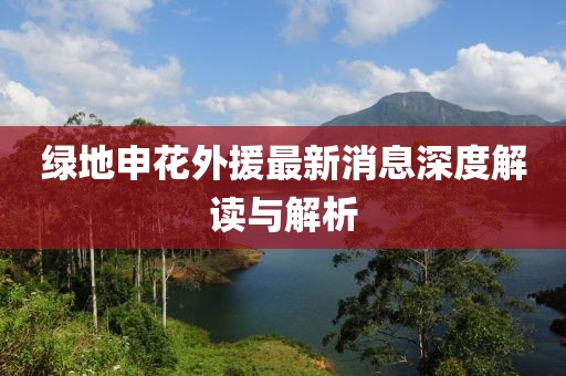 綠地申花外援最新消息深度解讀與解析