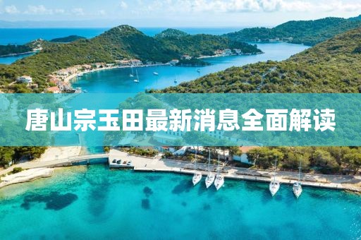 唐山宗玉田最新消息全面解讀