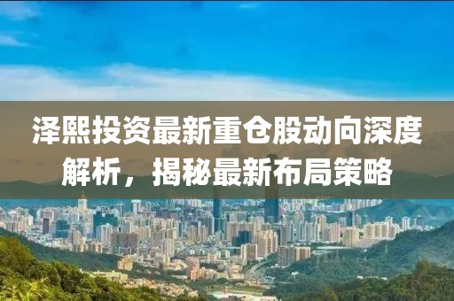 澤熙投資最新重倉股動向深度解析，揭秘最新布局策略