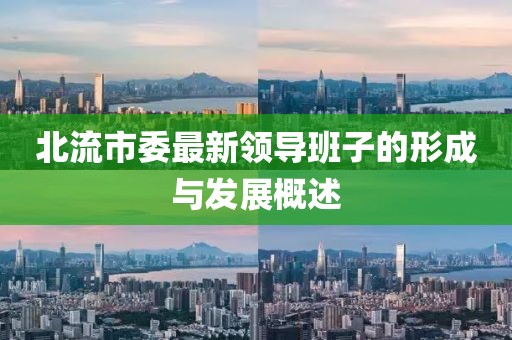 北流市委最新領(lǐng)導(dǎo)班子的形成與發(fā)展概述
