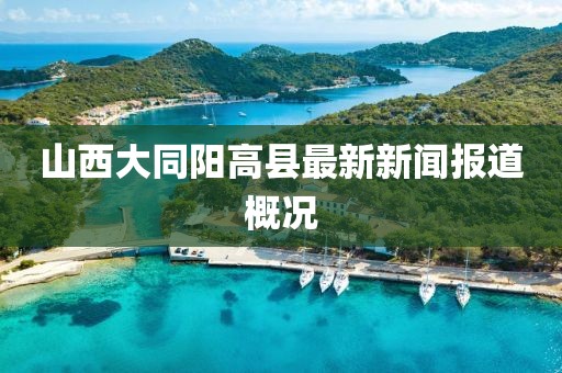 山西大同陽高縣最新新聞報道概況