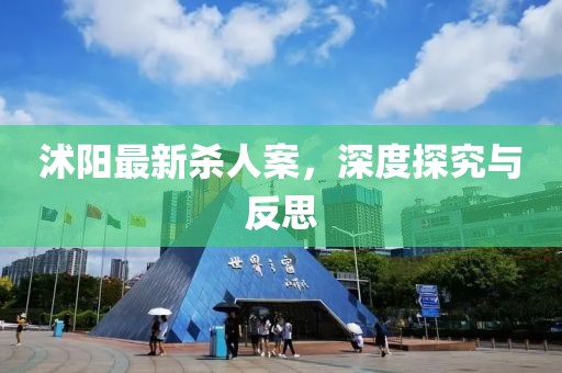 沭陽最新殺人案，深度探究與反思