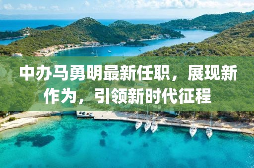 中辦馬勇明最新任職，展現(xiàn)新作為，引領(lǐng)新時(shí)代征程