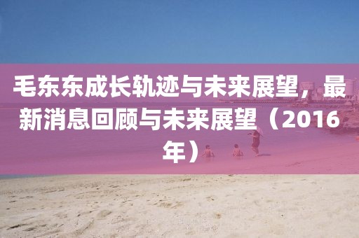 毛東東成長軌跡與未來展望，最新消息回顧與未來展望（2016年）