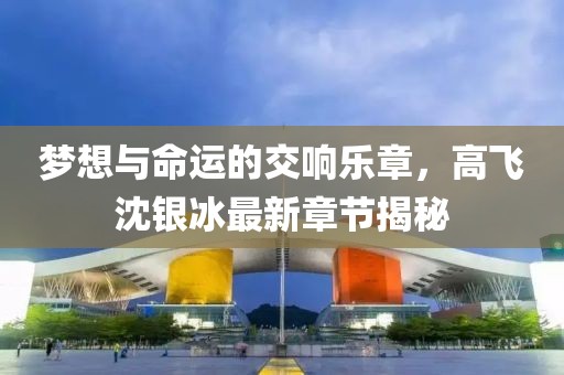 夢(mèng)想與命運(yùn)的交響樂(lè)章，高飛沈銀冰最新章節(jié)揭秘