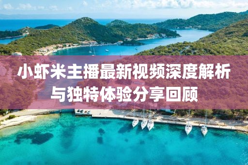 小蝦米主播最新視頻深度解析與獨特體驗分享回顧
