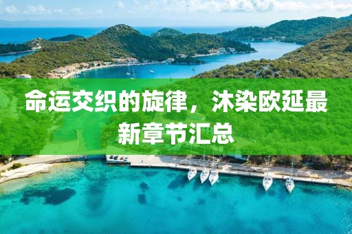 命運交織的旋律，沐染歐延最新章節(jié)匯總