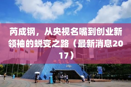 芮成鋼，從央視名嘴到創(chuàng)業(yè)新領(lǐng)袖的蛻變之路（最新消息2017）