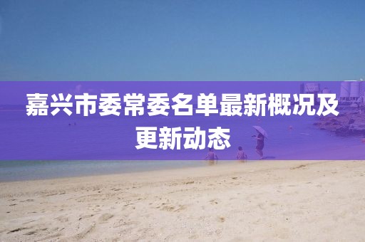 嘉興市委常委名單最新概況及更新動態(tài)