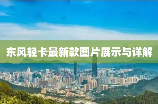 東風(fēng)輕卡最新款圖片展示與詳解