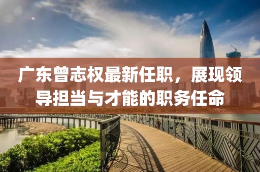 廣東曾志權最新任職，展現(xiàn)領導擔當與才能的職務任命