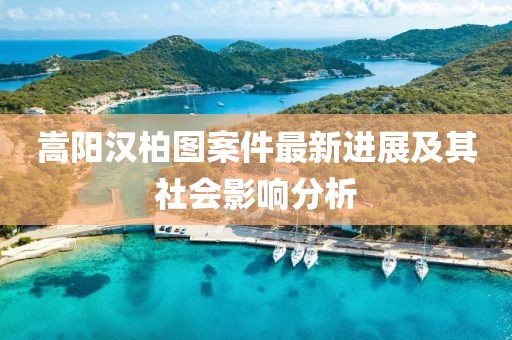 嵩陽(yáng)漢柏圖案件最新進(jìn)展及其社會(huì)影響分析