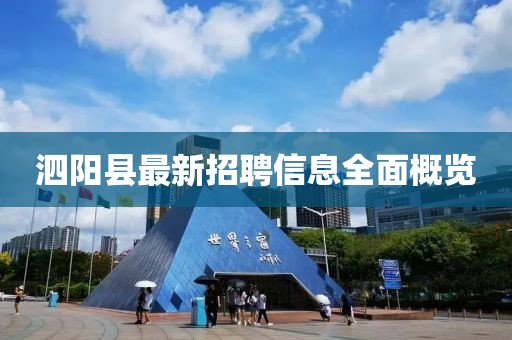 泗陽縣最新招聘信息全面概覽