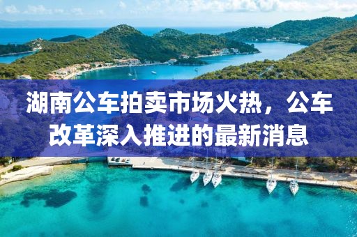 湖南公車拍賣市場火熱，公車改革深入推進(jìn)的最新消息