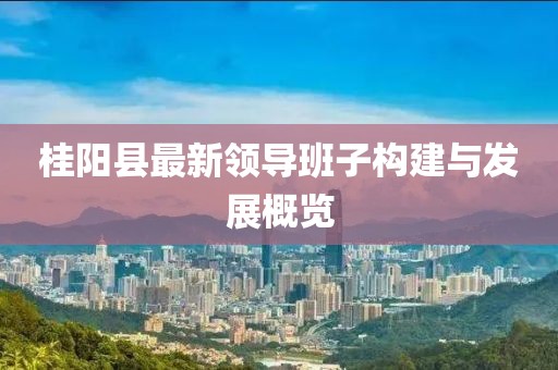 桂陽縣最新領導班子構建與發(fā)展概覽
