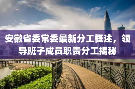 安徽省委常委最新分工概述，領導班子成員職責分工揭秘