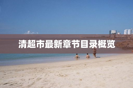 清超市最新章節(jié)目錄概覽