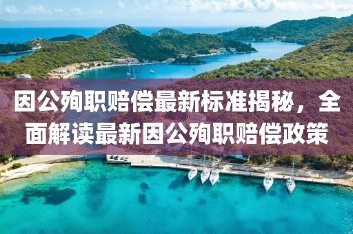 因公殉職賠償最新標(biāo)準(zhǔn)揭秘，全面解讀最新因公殉職賠償政策