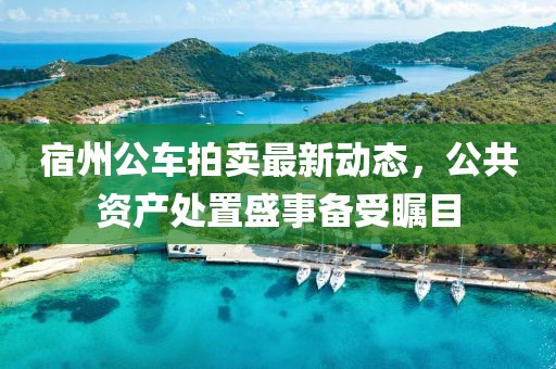 宿州公車拍賣最新動態(tài)，公共資產(chǎn)處置盛事備受矚目