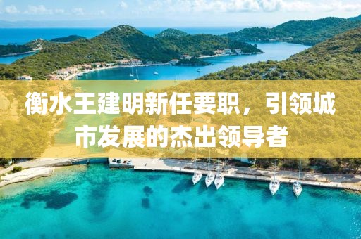衡水王建明新任要職，引領(lǐng)城市發(fā)展的杰出領(lǐng)導(dǎo)者