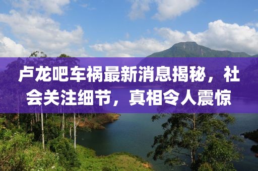 盧龍吧車禍最新消息揭秘，社會關(guān)注細節(jié)，真相令人震驚