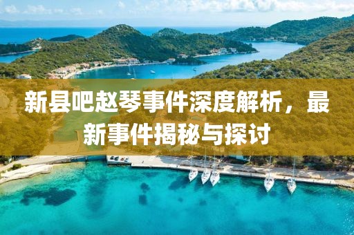 新縣吧趙琴事件深度解析，最新事件揭秘與探討